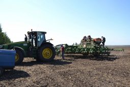 В Курской области собрано более 4 миллионов тонн зерна