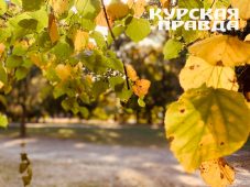 В Курской области 27 сентября будет сухо и до +25 градусов тепла