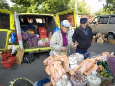 В сельскохозяйственной ярмарке в Курске приняли участие более 150 продавцов