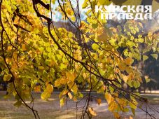 В Курской области 29 сентября ожидается до +26 градусов