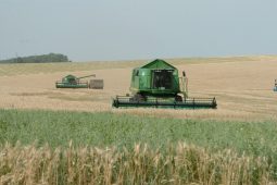 Экспорт зерна из Курской области в 2023 году вырос более чем в два раза