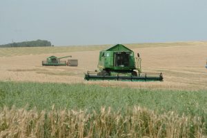 Курским аграриям выделили субсидию в 522 миллиона рублей