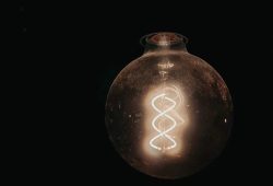 На следующей неделе во всех округах Курска будут отключать электричество