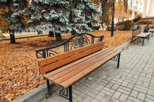 В Курской области 2 октября ожидается до 15 градусов тепла