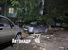 В Курской области за два дня упало 127 аварийных деревьев