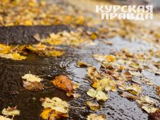 В Курской области 23 ноября ожидается до +8°C