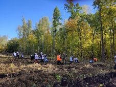 В Золотухинском районе Курской области высадили 1,3 тысячи сеянцев дуба