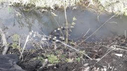 В Курске в техническом водоёме обнаружили тело мужчины