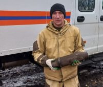 В Курской области нашли и обезвредили артснаряд времён войны