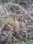 В посёлке Жеденовский Курской области обезвредили 82-миллиметровый снаряд