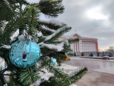 20 декабря в Курске днем ожидается до пяти градусов тепла