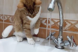 Жители курского Льгова снова жалуются на качество воды