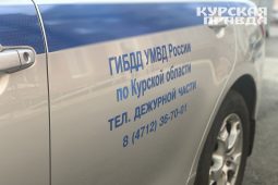 В Курской области автомобилист погиб при столкновении с тепловозом