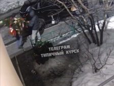 В Курске разыскивают двух мужчин, укравших ёлку на проспекте Победы