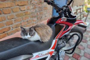 У москвича конфисковали мотоцикл