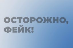 В Курской области мошенники скопировали аккаунты глав районов
