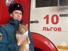 В Курской области пожарные приютили у себя рыжую кошку