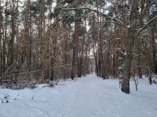 В Курской области 9 января морозы ослабеют до -10 градусов