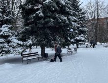 Снег в курских парках и скверах сегодня чистят 48 человек