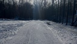 Курян приглашают покататься на лыжах в парке «Боева дача»