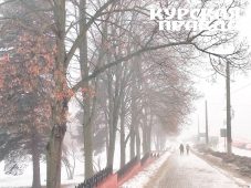 22 февраля в Курской области прогнозируют снег, дождь и от -3°С до +2°С