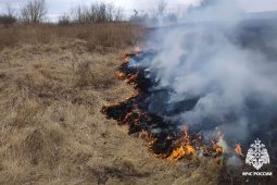 В Курской области с 12 апреля ввели особый противопожарный режим