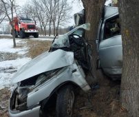 В Курской области в аварии погибли два человека