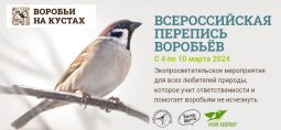 Жителей Курской области приглашают поучаствовать в переписи воробьёв