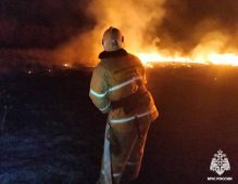 В Курской области за сутки девять раз горела сухая трава