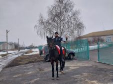 Житель Курской области приехал на избирательный участок на коне