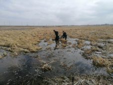 В Курской области в болоте обнаружили тело мужчины