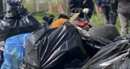 В Курске из-за субботника на сутки запретят парковку транспорта на Советской