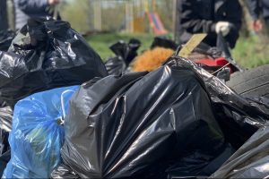 Курян приглашают на субботник