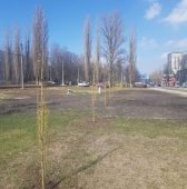 В Курске «Квадра» устраняет разрытия после зимы