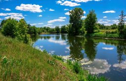 Курянам рассказали, как провести майские выходные в стиле эко