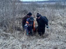 В Курской области в пруду нашли тело мужчины
