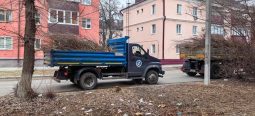В Сеймском округе Курска убрали 65 кубометров сухой древесины