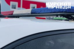 Житель Курска сообщил в полицию об избиении, чтобы взять больничный