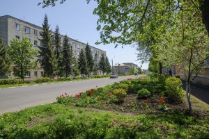 Курян не будут штрафовать за некошеную возле домов траву