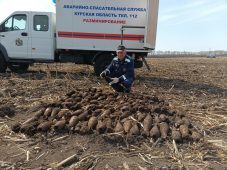 В селе Плесец Курской области обезвредили 115 мин и два артснаряда