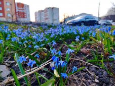 В Курской области 3 апреля ожидается сильный ветер и до 18 градусов тепла