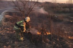 В Курской области во время пала травы погибла женщина