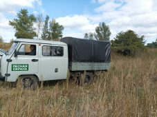 В Курской области специалисты продолжают патрулировать леса