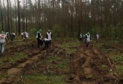 В двух районах Курской области посадили «Сад памяти»