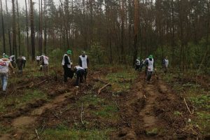 В двух районах Курской области посадили «Сад памяти»