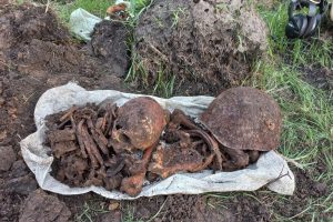 В Курской области поисковики обнаружили останки двух советских солдат