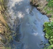 В Курске выясняют причину загрязнения участка реки Тускарь