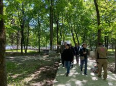 В Курске в парке Героев Гражданской войны специальная комиссия оценивает состояние деревьев
