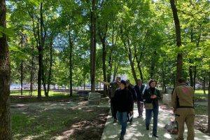 В Курске в парке Героев Гражданской войны специальная комиссия оценивает состояние деревьев