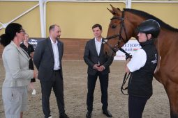 В Курской конноспортивной школе презентовали новых лошадей